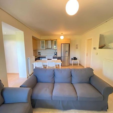 Cozy 2 Room Apartment With Garden Near Athens Air-Port 阿特米达 外观 照片