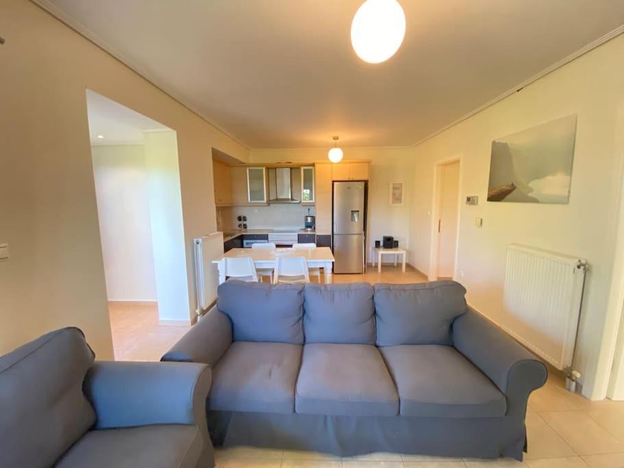 Cozy 2 Room Apartment With Garden Near Athens Air-Port 阿特米达 外观 照片