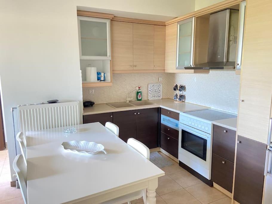 Cozy 2 Room Apartment With Garden Near Athens Air-Port 阿特米达 外观 照片