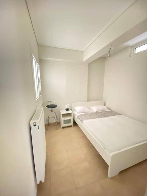Cozy 2 Room Apartment With Garden Near Athens Air-Port 阿特米达 外观 照片